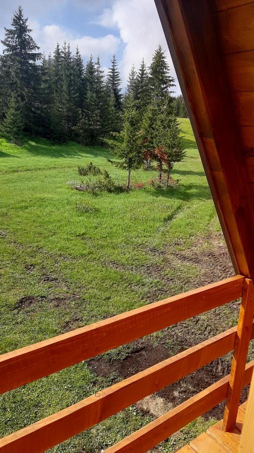 Vila House Bojana Žabljak Exteriér fotografie